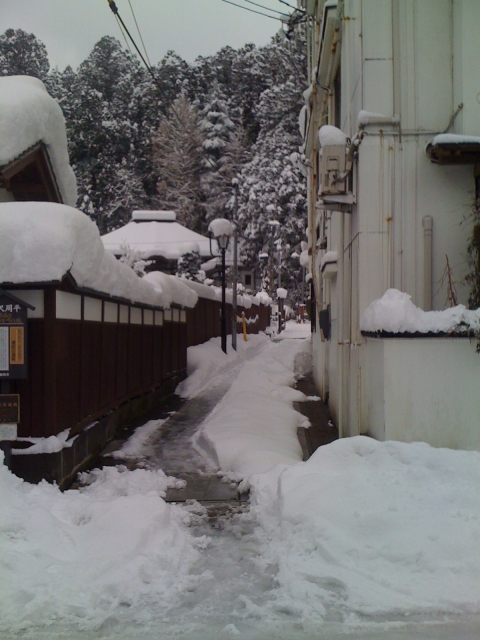 2011-01-15 001.jpg
