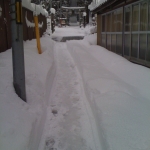 2011-01-15 003.jpg