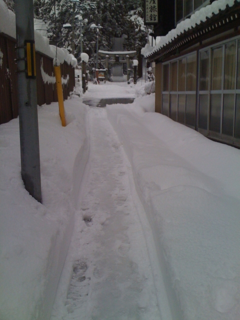 2011-01-15 003.jpg