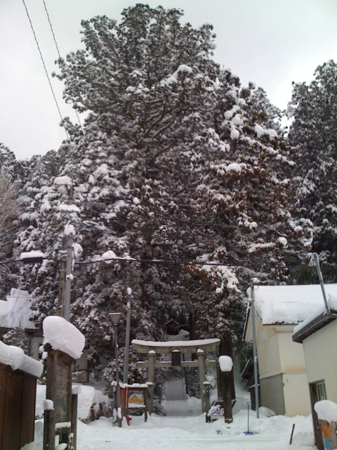2011-01-15 004.jpg
