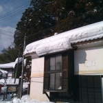 2011-01-26 002.jpg