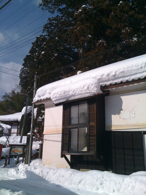 2011-01-26 002.jpg