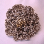 CIMG1110