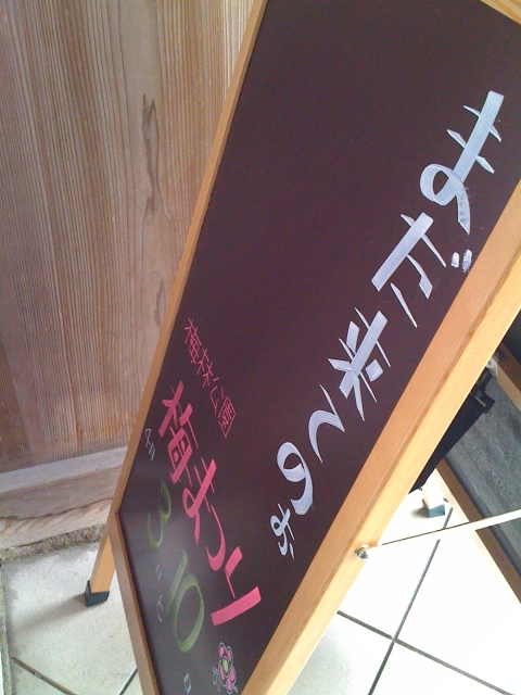 2011-03-02 004.jpg