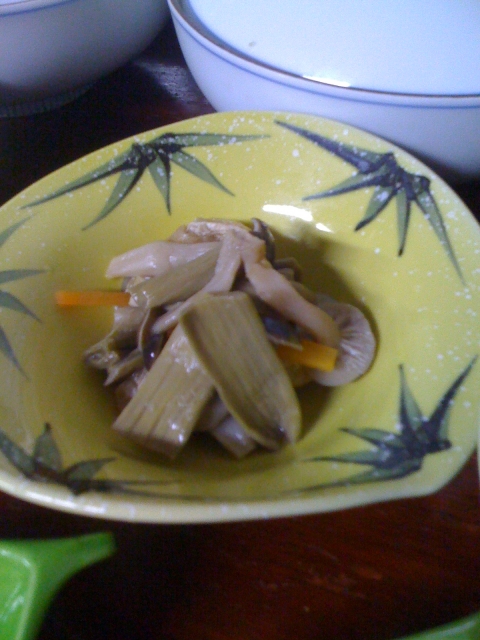 2011-02-27 002.jpg