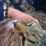 2011-02-28 003.jpg