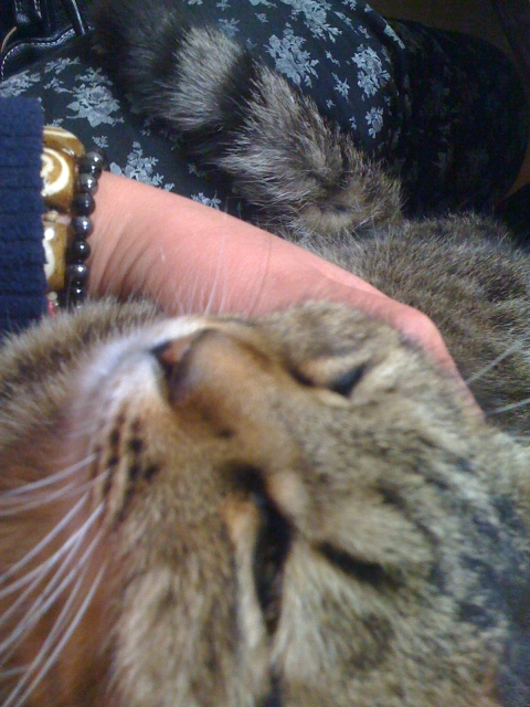 2011-02-28 003.jpg