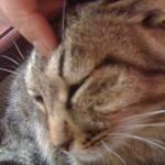 2011-02-28 004.jpg