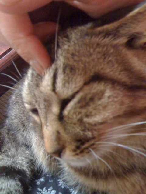 2011-02-28 004.jpg