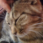 2011-02-28 005.jpg