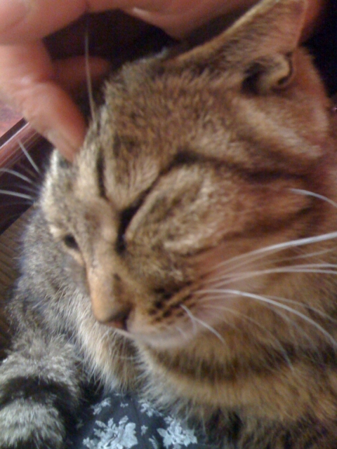 2011-02-28 005.jpg