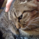 2011-02-28 006.jpg