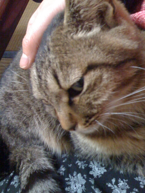 2011-02-28 006.jpg