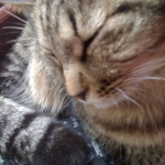 2011-02-28 007.jpg