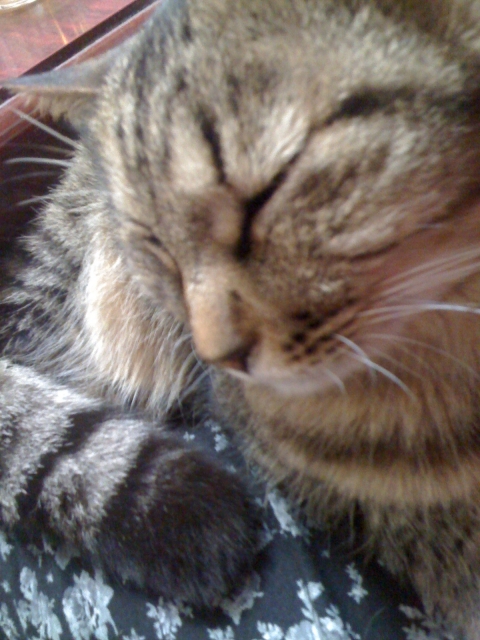 2011-02-28 007.jpg