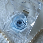 大切な人へのプレゼント　ローズボックス　　ブルー