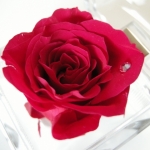 大切な人へのプレゼント　ローズボックス　　レッド