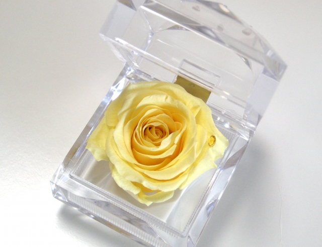 大切な人へのプレゼント　ローズボックス　　　イエロー