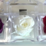 大切な人へのプレゼント　ローズボックス