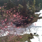 iPhone-090411-1757.jpg