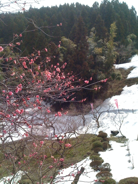 iPhone-090411-1757.jpg