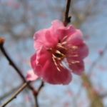 IMG_3693.jpg
