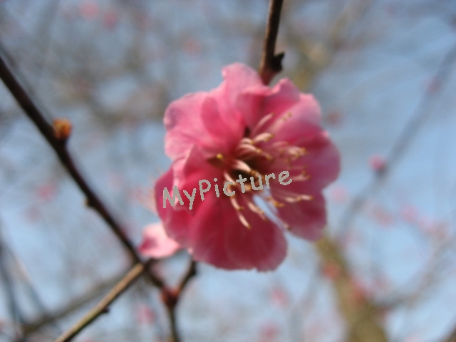 IMG_3693.jpg