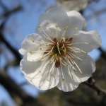 IMG_3697.jpg