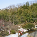 IMG_3703.jpg