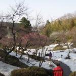 IMG_3717.jpg