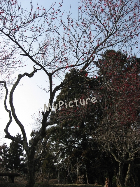 IMG_3718.jpg