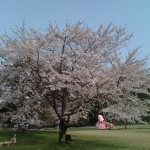 iPhone-090511-2043.jpg