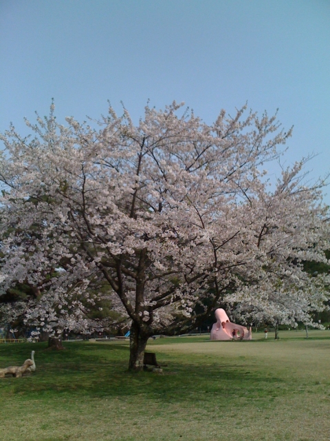 iPhone-090511-2043.jpg