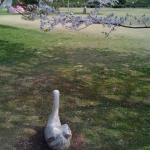 iPhone-090511-2043.jpg