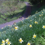 iPhone-090511-2046.jpg