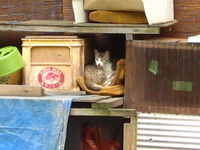 IMG_0058.JPG