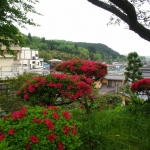 IMG_0060.JPG