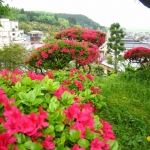 IMG_0061.JPG
