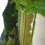 IMG_0062.JPG