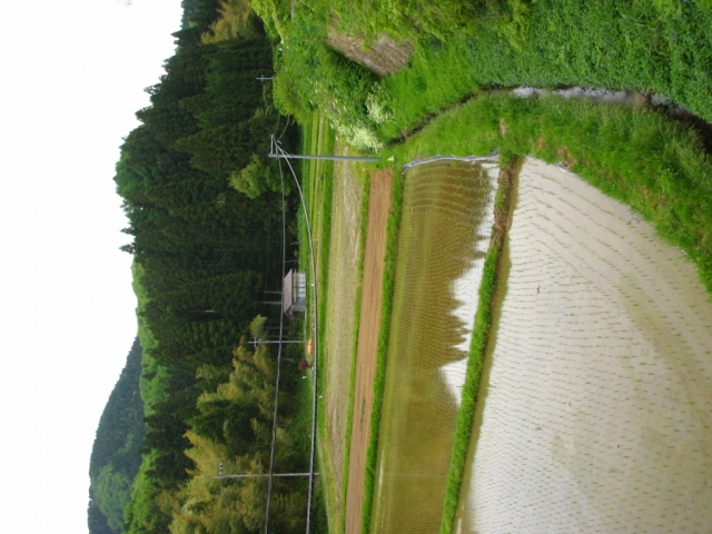 IMG_0062.JPG