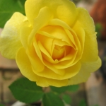 IMG_3830