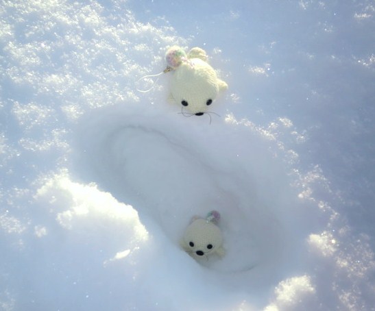 にじいろごまちゃんTMストラップ