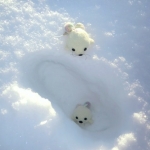 にじいろごまちゃんTMストラップ