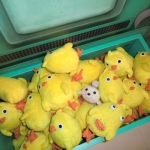 にじいろごまちゃんTMストラップ