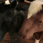 にじいろごまちゃんTMストラップ