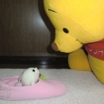 にじいろごまちゃんTMストラップ