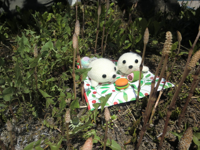 にじいろごまちゃんTMストラップ