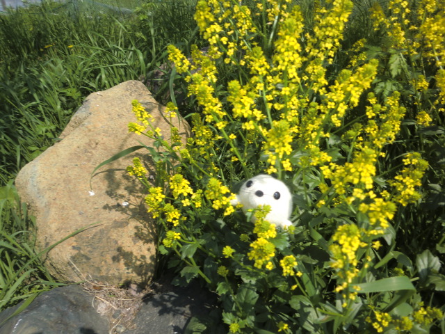 にじいろごまちゃんTMストラップ