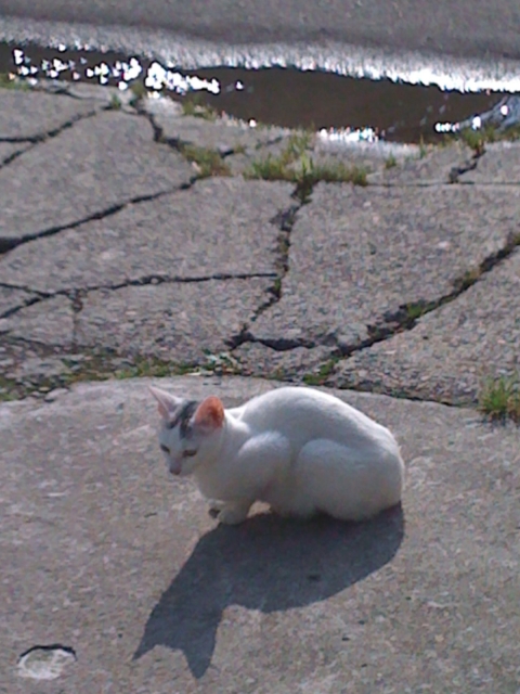 iPhone-020711-1041.jpg