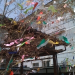 iPhone-070711-1106.jpg